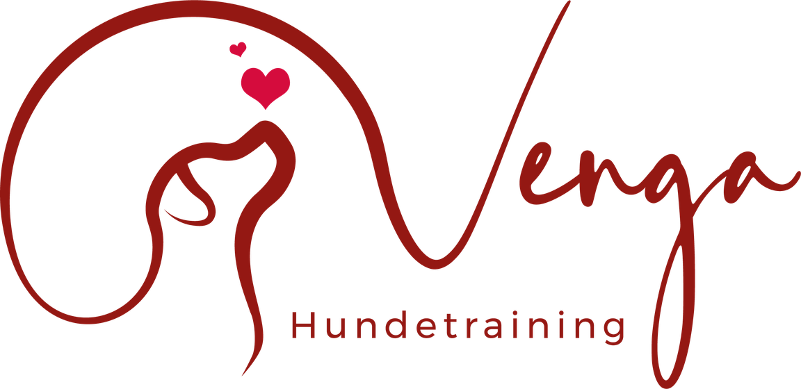 Venga Hundetraining