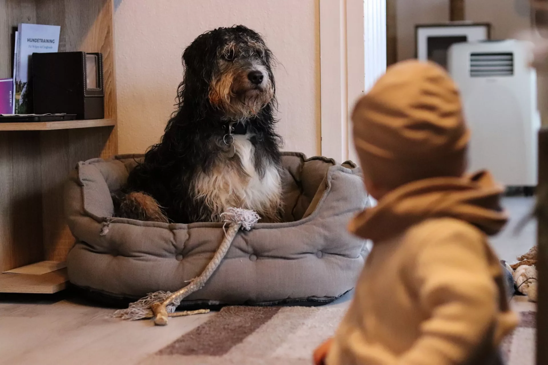 Hund & Kind