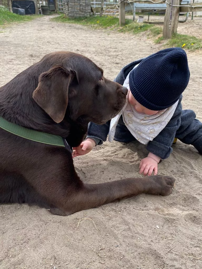 Hund & Kind bei Venga Hundetraining