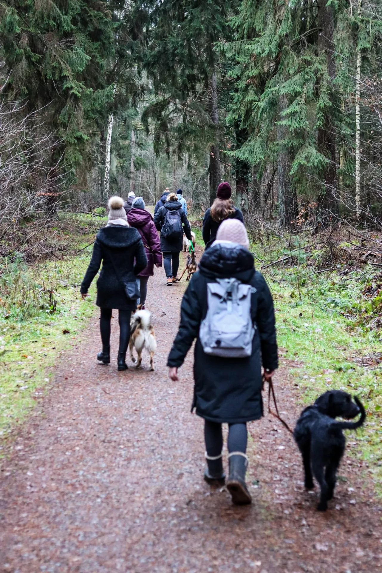 Social Walks