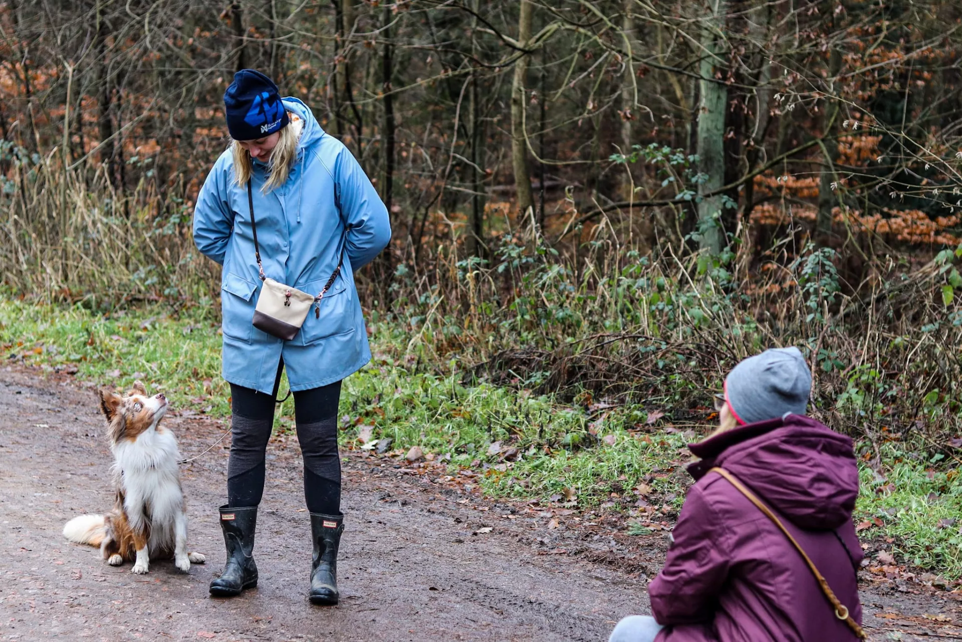 Social Walks - Hundetraining Lüneburg